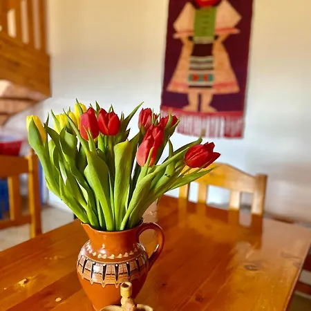 Traditional Garden House In Liptov Feriehus *